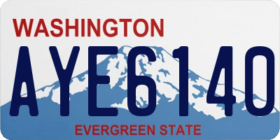 WA license plate AYE6140