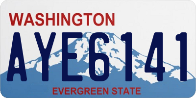 WA license plate AYE6141