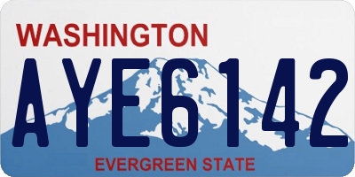 WA license plate AYE6142