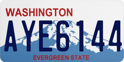 WA license plate AYE6144