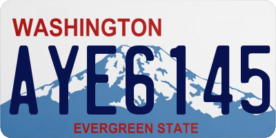 WA license plate AYE6145