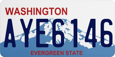 WA license plate AYE6146