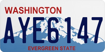 WA license plate AYE6147