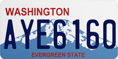 WA license plate AYE6160