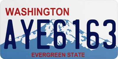 WA license plate AYE6163