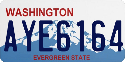 WA license plate AYE6164