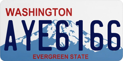 WA license plate AYE6166