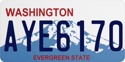 WA license plate AYE6170