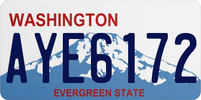 WA license plate AYE6172