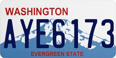 WA license plate AYE6173