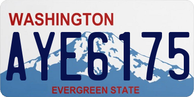 WA license plate AYE6175