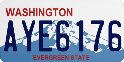 WA license plate AYE6176