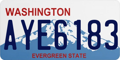 WA license plate AYE6183