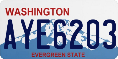 WA license plate AYE6203