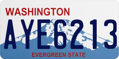 WA license plate AYE6213