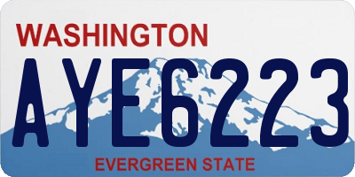 WA license plate AYE6223