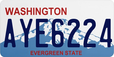 WA license plate AYE6224