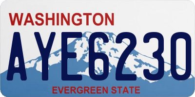 WA license plate AYE6230