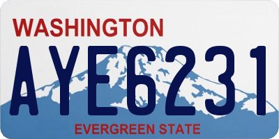 WA license plate AYE6231