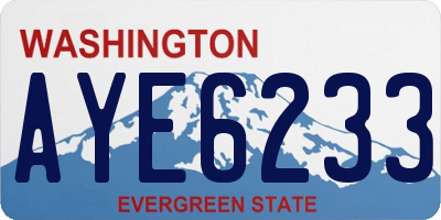 WA license plate AYE6233
