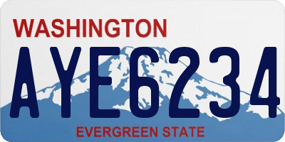 WA license plate AYE6234
