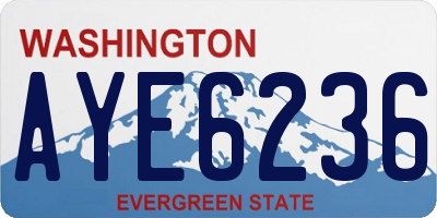 WA license plate AYE6236