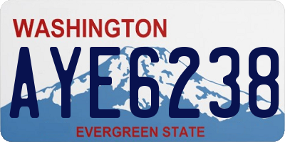 WA license plate AYE6238