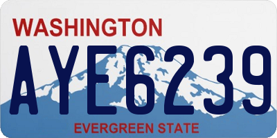 WA license plate AYE6239