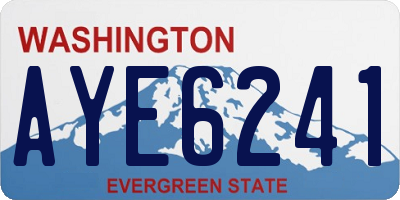 WA license plate AYE6241