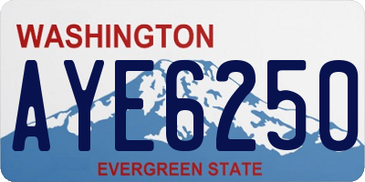 WA license plate AYE6250