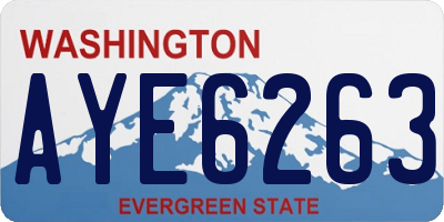 WA license plate AYE6263