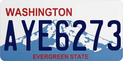 WA license plate AYE6273