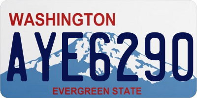 WA license plate AYE6290