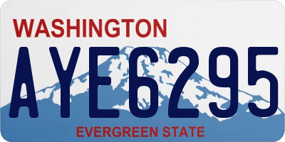 WA license plate AYE6295