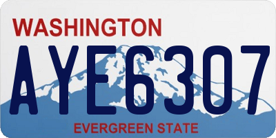 WA license plate AYE6307