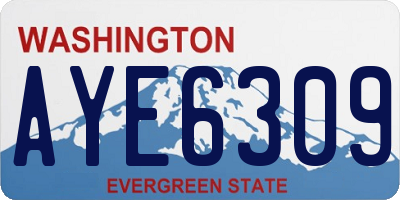 WA license plate AYE6309
