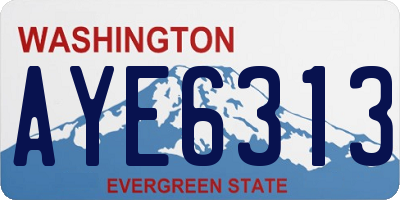 WA license plate AYE6313