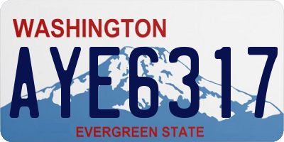 WA license plate AYE6317