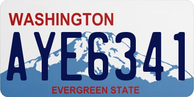 WA license plate AYE6341