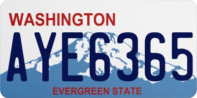 WA license plate AYE6365