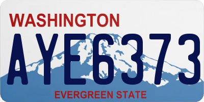 WA license plate AYE6373