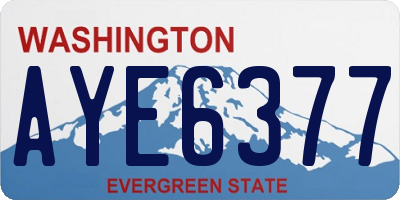 WA license plate AYE6377