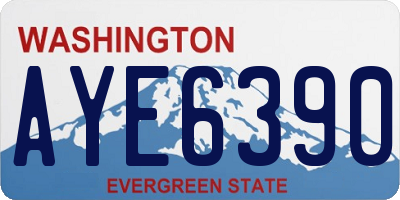 WA license plate AYE6390