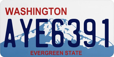 WA license plate AYE6391