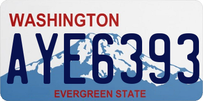 WA license plate AYE6393