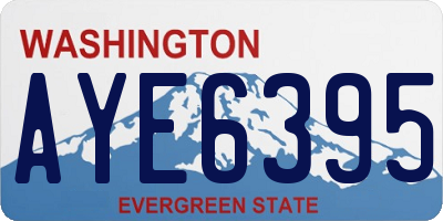 WA license plate AYE6395