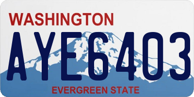 WA license plate AYE6403