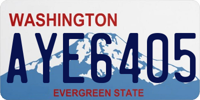 WA license plate AYE6405