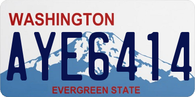 WA license plate AYE6414
