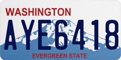 WA license plate AYE6418
